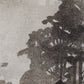 Branching Out Canvas Art (Set of 3)