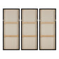 Branching Out Canvas Art (Set of 3)
