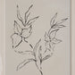 Palmela Wall Art (Set of 4)