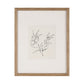 Palmela Wall Art (Set of 4)