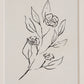 Palmela Wall Art (Set of 4)