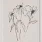 Palmela Wall Art (Set of 4)