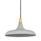 Viola-May Ceiling Fixture