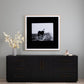 Blank Horse by Annie Spratt - Photo Paper