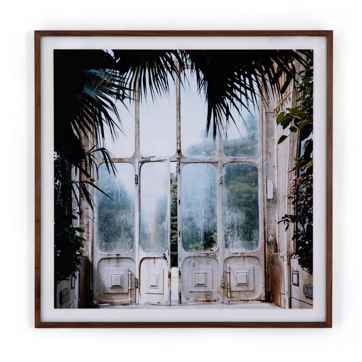 Greenhouse II by Annie Spratt - Photo Paper