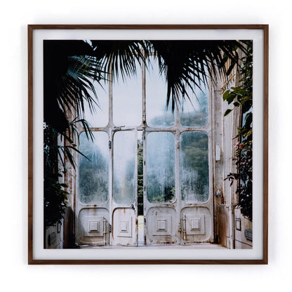 Greenhouse II by Annie Spratt - Photo Paper