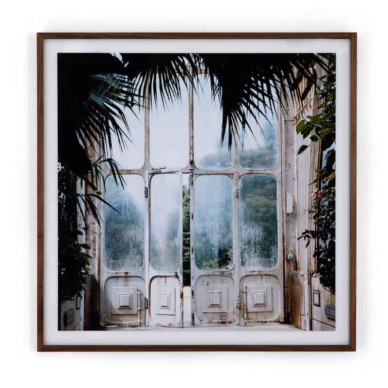 Greenhouse II by Annie Spratt - Photo Paper