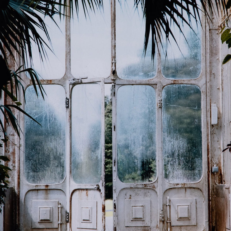 Greenhouse II by Annie Spratt - Walnut 2.5