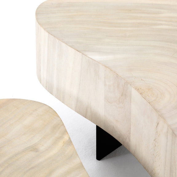 Avett Coffee Table Set - Bleached Guanacaste