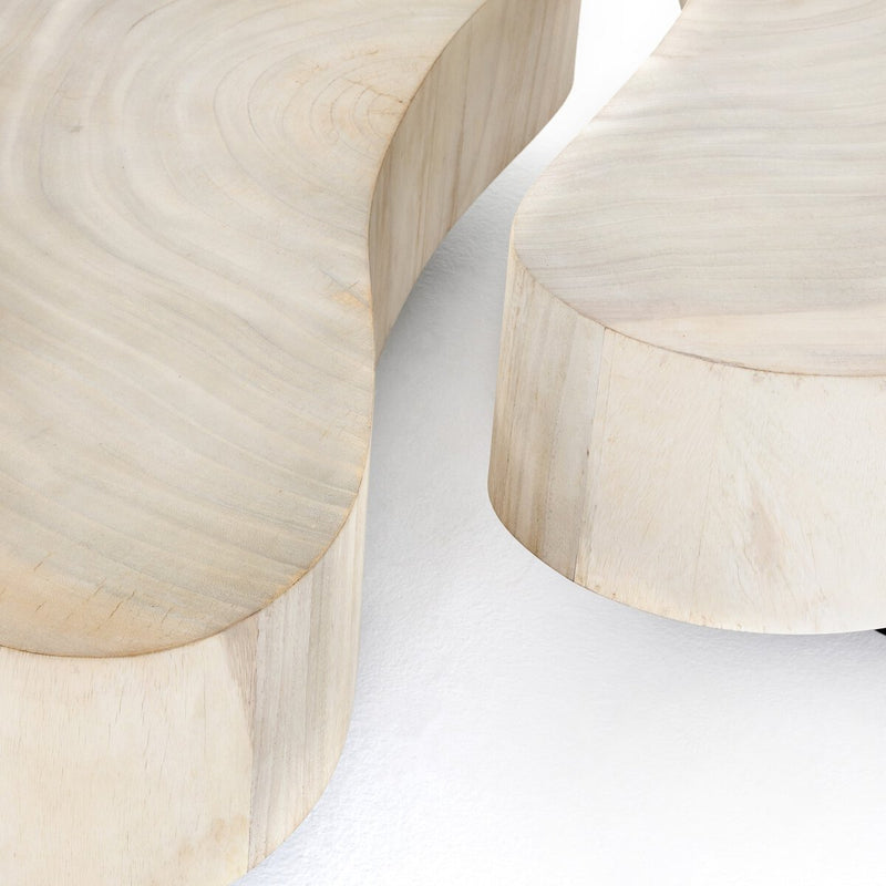Avett Coffee Table Set - Bleached Guanacaste