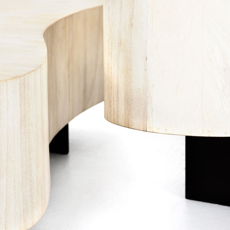 Avett Coffee Table Set - Bleached Guanacaste