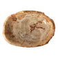 Oval Petrified Wood Bowl - Light Petrified Wood