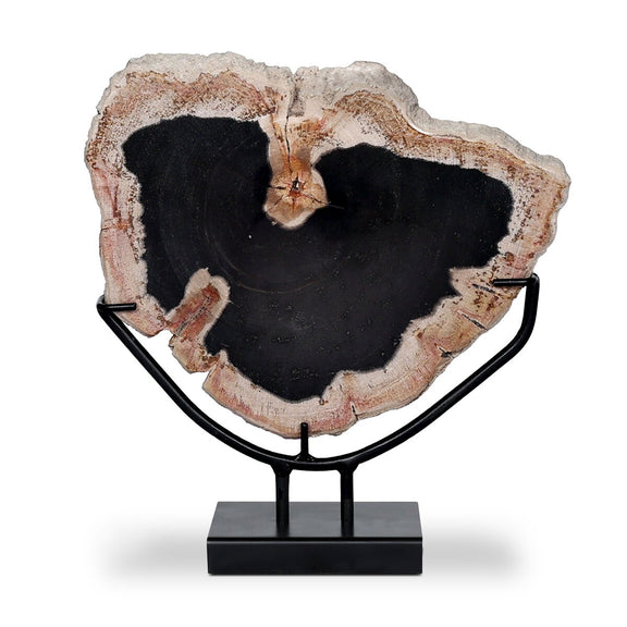 Petrified Wood Sculpture - Matte Black Iron