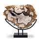 Petrified Wood Sculpture - Matte Black Iron