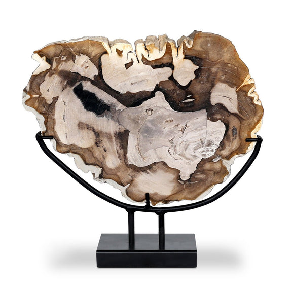 Petrified Wood Sculpture - Matte Black Iron