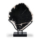 Petrified Wood Sculpture - Matte Black Iron