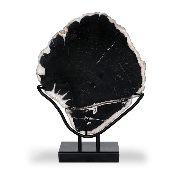 Petrified Wood Sculpture - Matte Black Iron