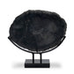 Petrified Wood Sculpture - Matte Black Iron