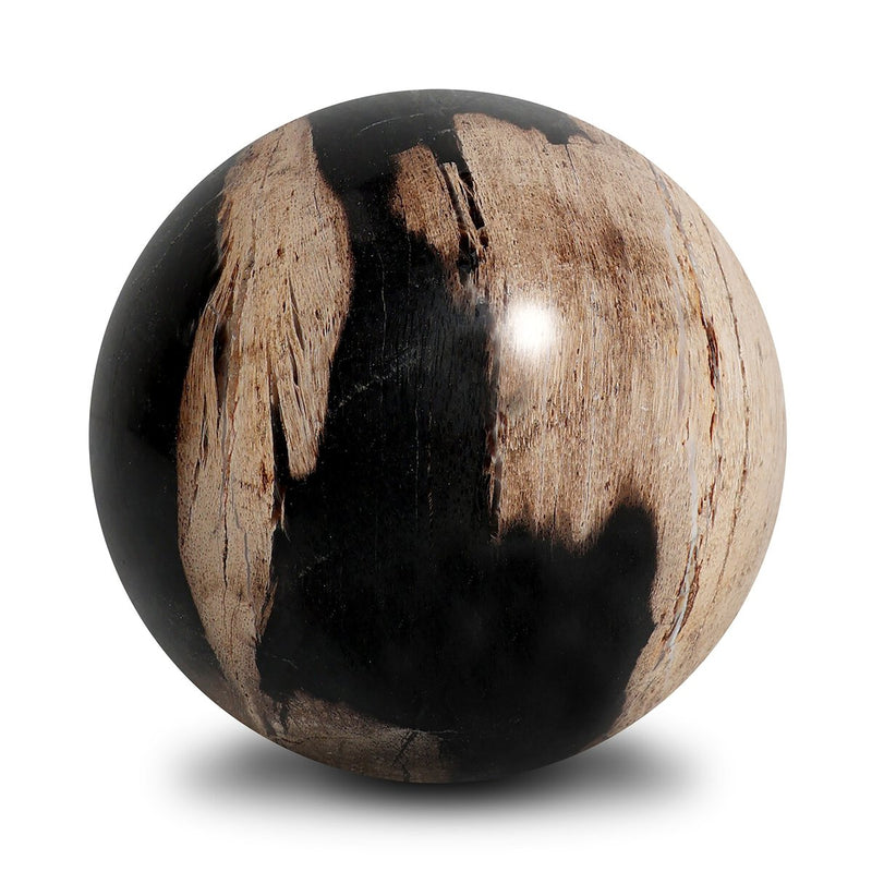 Petrified Wood Balls, Set Of 3 - Dark Petrified Wood