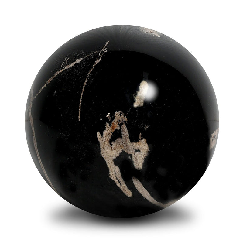 Petrified Wood Balls, Set Of 3 - Dark Petrified Wood