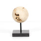 Organic Stone Sculptures, Set Of 3 - Black Marble