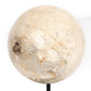 Organic Stone Sculptures, Set Of 3 - Black Marble