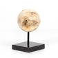 Organic Stone Sculptures, Set Of 3 - Black Marble