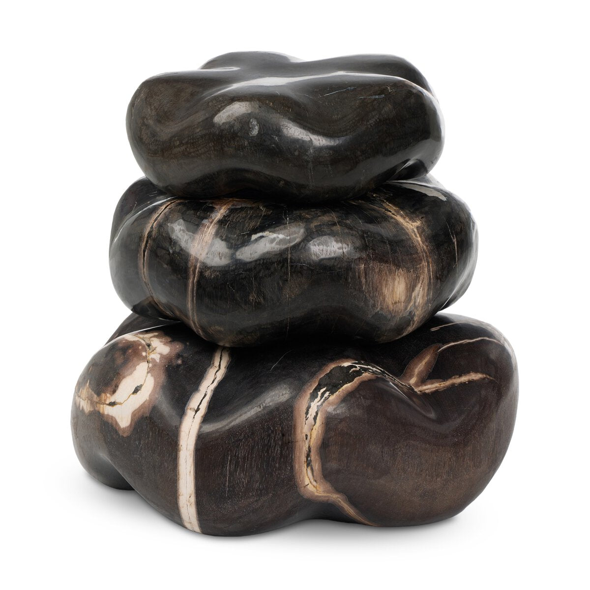 Petrified Wood Organic Sculpture, Set Of 3 - Dark Petrified Wood
