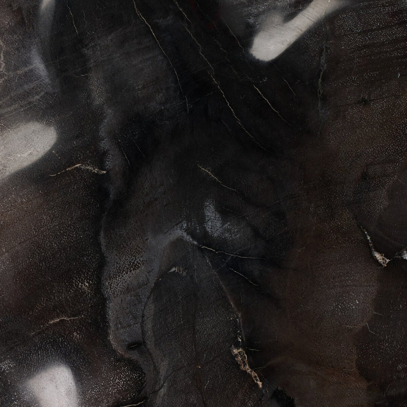 Petrified Wood Organic Sculpture, Set Of 3 - Dark Petrified Wood