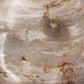 Petrified Wood Organic Sculpture, Set Of 3 - Light Petrified Wood