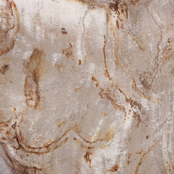 Petrified Wood Organic Sculpture, Set Of 3 - Light Petrified Wood
