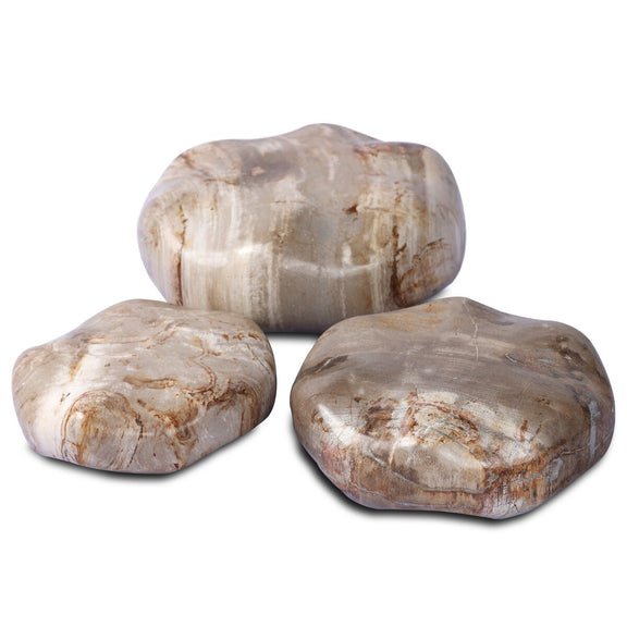 Petrified Wood Organic Sculpture, Set Of 3 - Light Petrified Wood