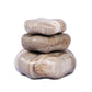 Petrified Wood Organic Sculpture, Set Of 3 - Light Petrified Wood