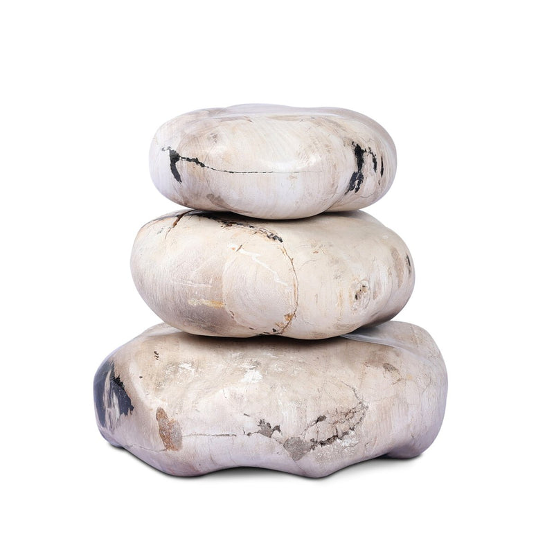 Petrified Wood Organic Sculpture, Set Of 3 - Light Petrified Wood