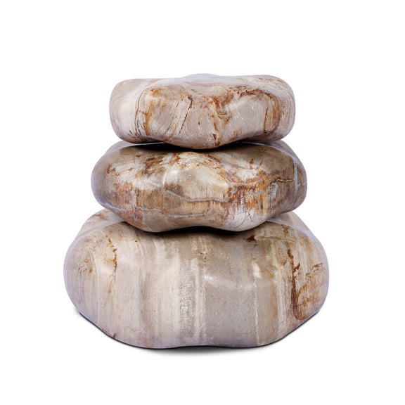 Petrified Wood Organic Sculpture, Set Of 3 - Light Petrified Wood