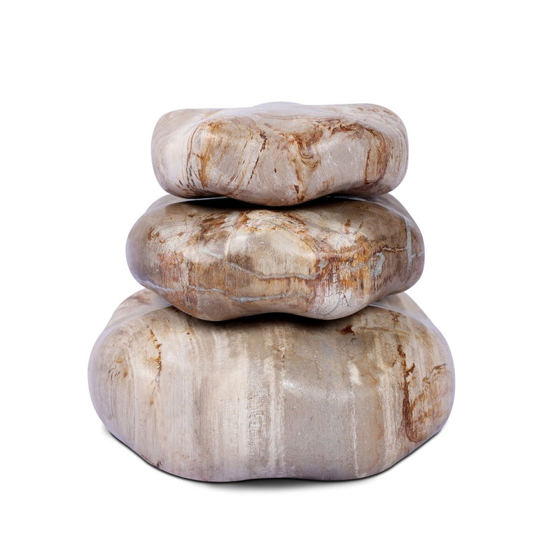 Petrified Wood Organic Sculpture, Set Of 3 - Light Petrified Wood