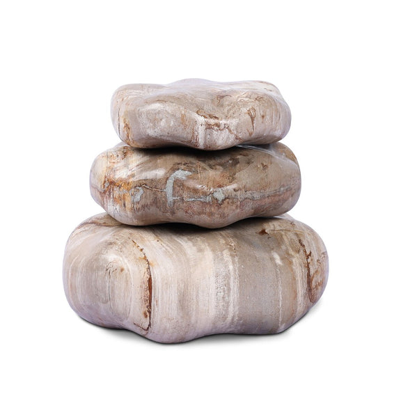 Petrified Wood Organic Sculpture, Set Of 3 - Light Petrified Wood