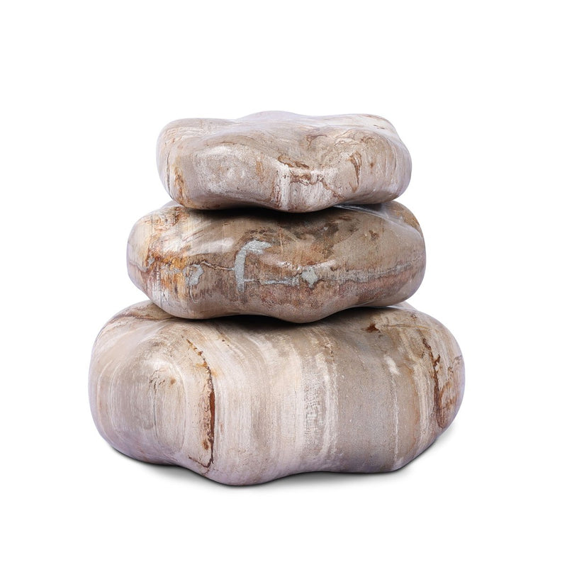 Petrified Wood Organic Sculpture, Set Of 3 - Light Petrified Wood