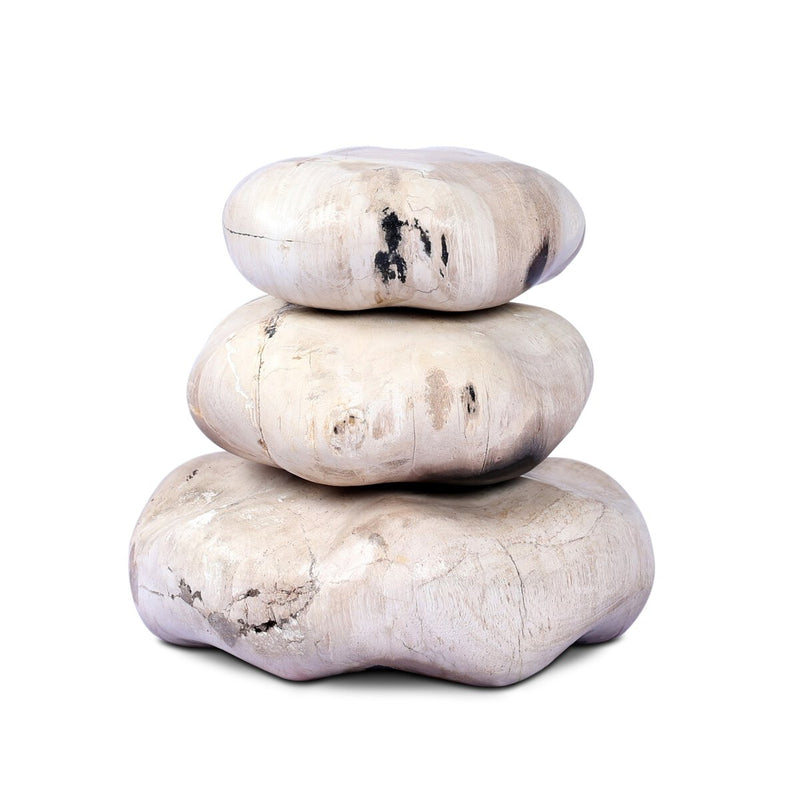 Petrified Wood Organic Sculpture, Set Of 3 - Light Petrified Wood