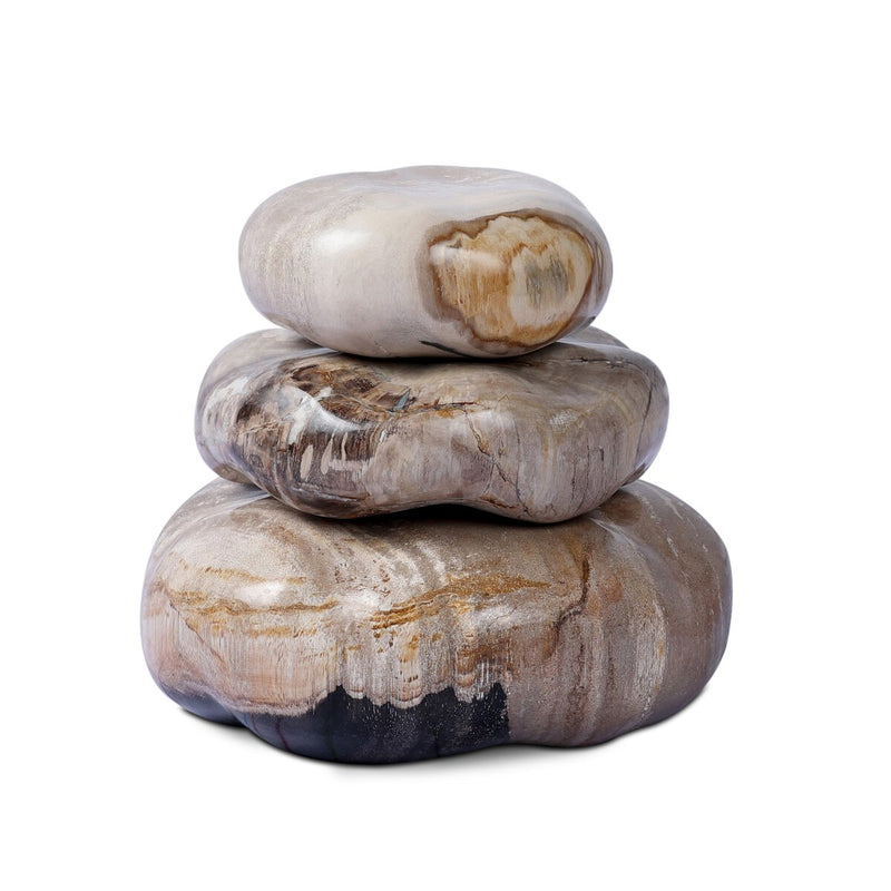 Petrified Wood Organic Sculpture, Set Of 3 - Light Petrified Wood