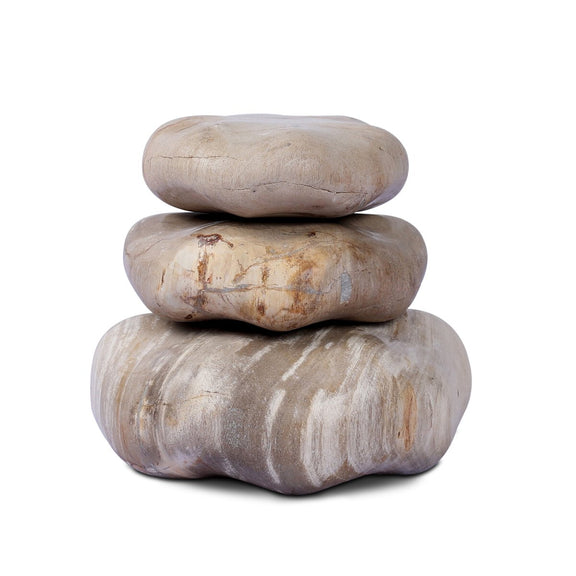 Petrified Wood Organic Sculpture, Set Of 3 - Light Petrified Wood