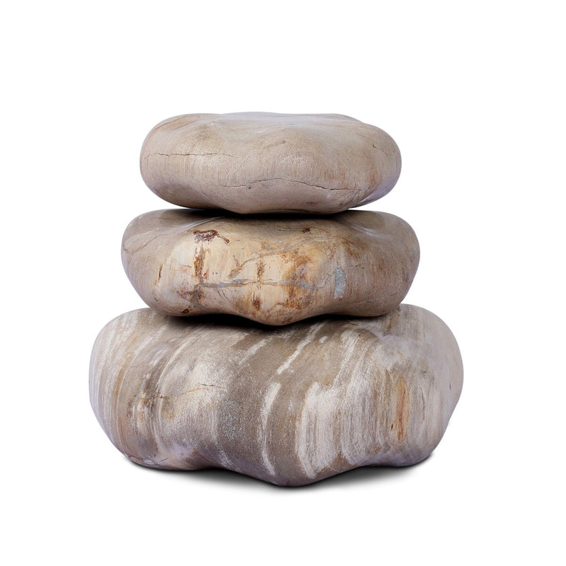 Petrified Wood Organic Sculpture, Set Of 3 - Light Petrified Wood