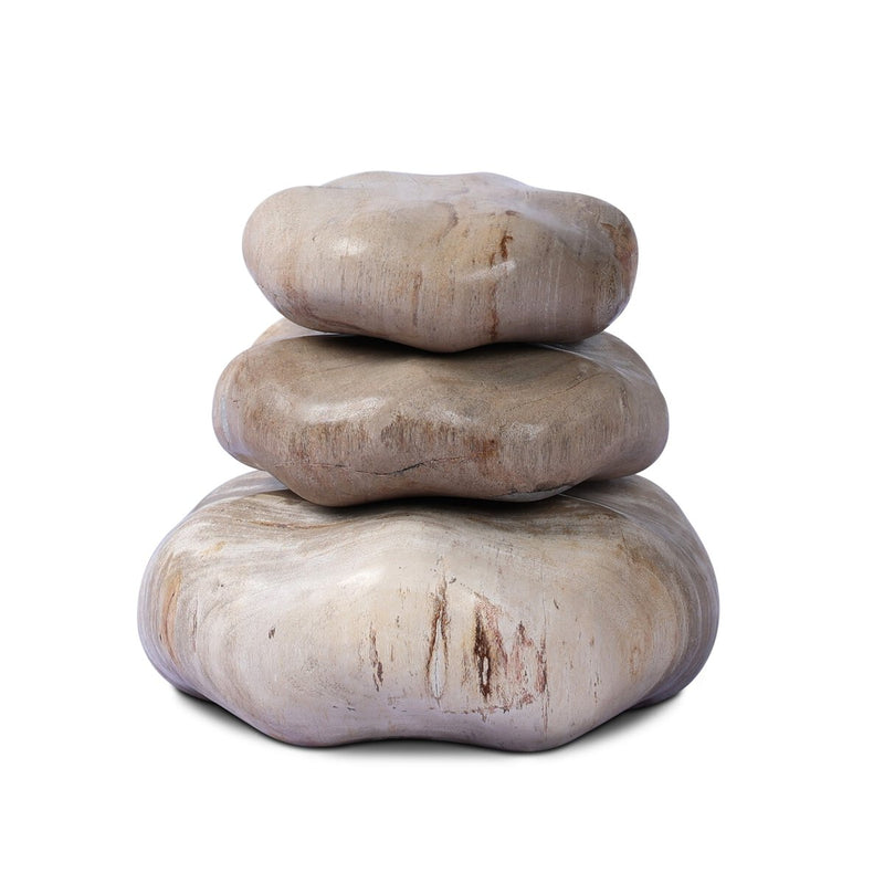 Petrified Wood Organic Sculpture, Set Of 3 - Light Petrified Wood