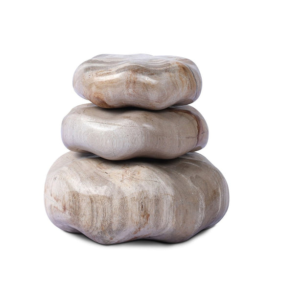 Petrified Wood Organic Sculpture, Set Of 3 - Light Petrified Wood