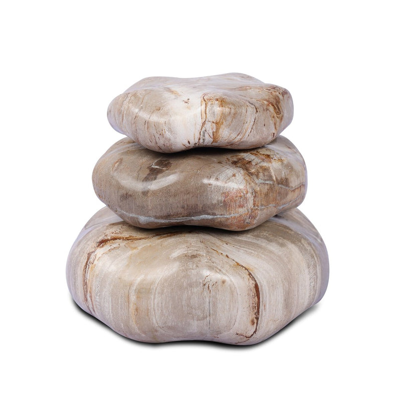 Petrified Wood Organic Sculpture, Set Of 3 - Light Petrified Wood