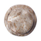 Petrified Wood Organic Sculpture, Set Of 3 - Light Petrified Wood