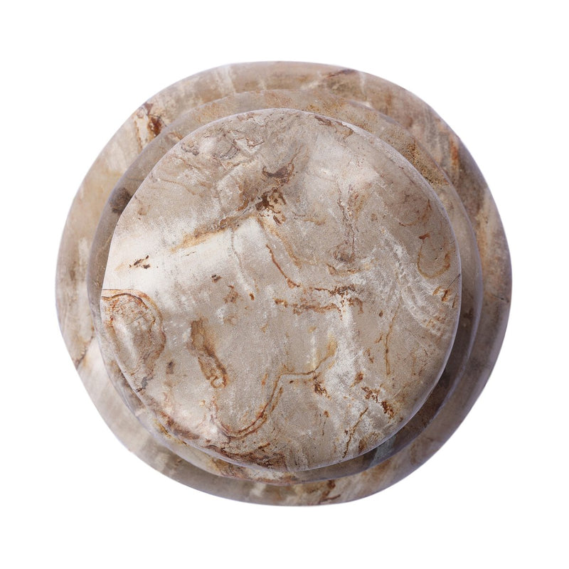 Petrified Wood Organic Sculpture, Set Of 3 - Light Petrified Wood