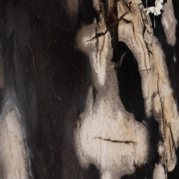 Bevin End Table - Dark Petrified Wood