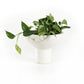Pressler Outdoor Planter, Set Of 2 - Plaster Molded Concrete