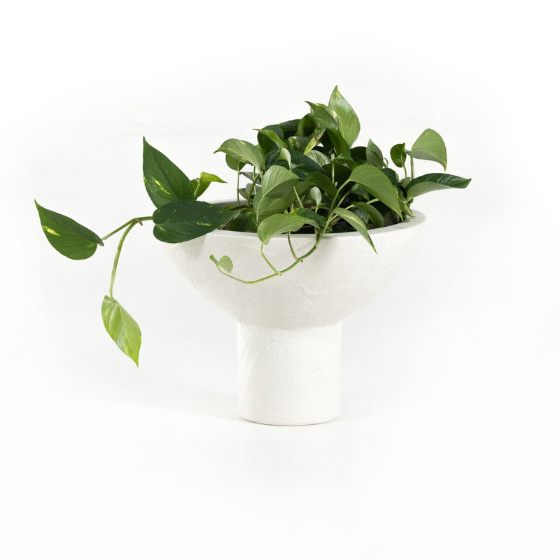 Pressler Outdoor Planter, Set Of 2 - Plaster Molded Concrete